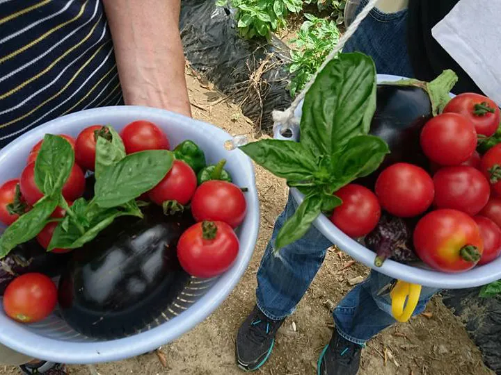 20621194_1371494852969268_8618979795432739655_ns