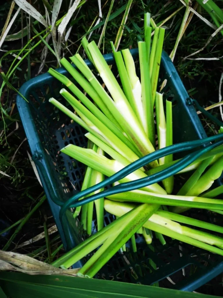 75fea59f-6a16-4dbc-b280-f34d2c33d524