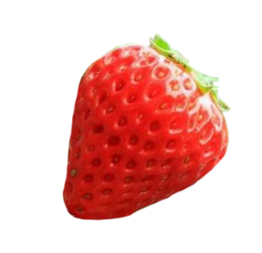 Image is not available